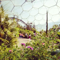 Eden Med Biome