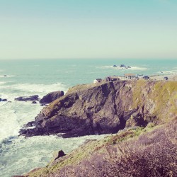 Lizard Point